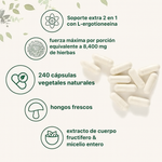 MELENA DE LEON 120 CAPSULAS - ENVÍO GRATIS 🎉😍